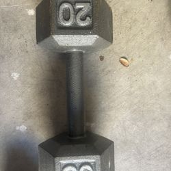 20 Lb Weight