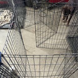 Dog Crates 