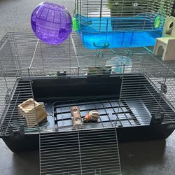 Hamster Cage And More 
