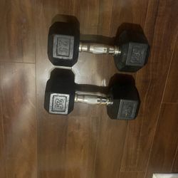 25lb  Dumbbells