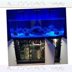 at red Massive Aquarium Tank - Wide & Stunning Display