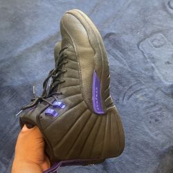 Jordan 12 Dark Concord Size 13