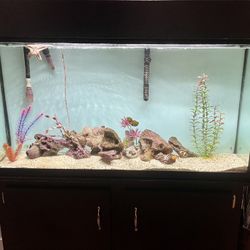 60 Gallon Aquarium W/Stand & Canopy 