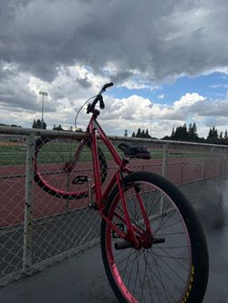 SE bike 29