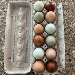 Farm Fresh Eggs