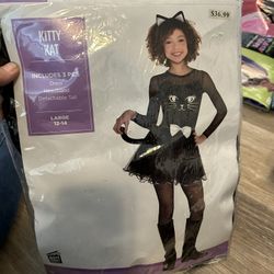 New In Package Kitty Cat Youth 12–14 Costume Three-Piece Set