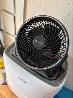 Fan