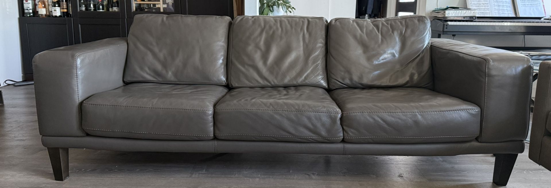 Grey Leather Couch