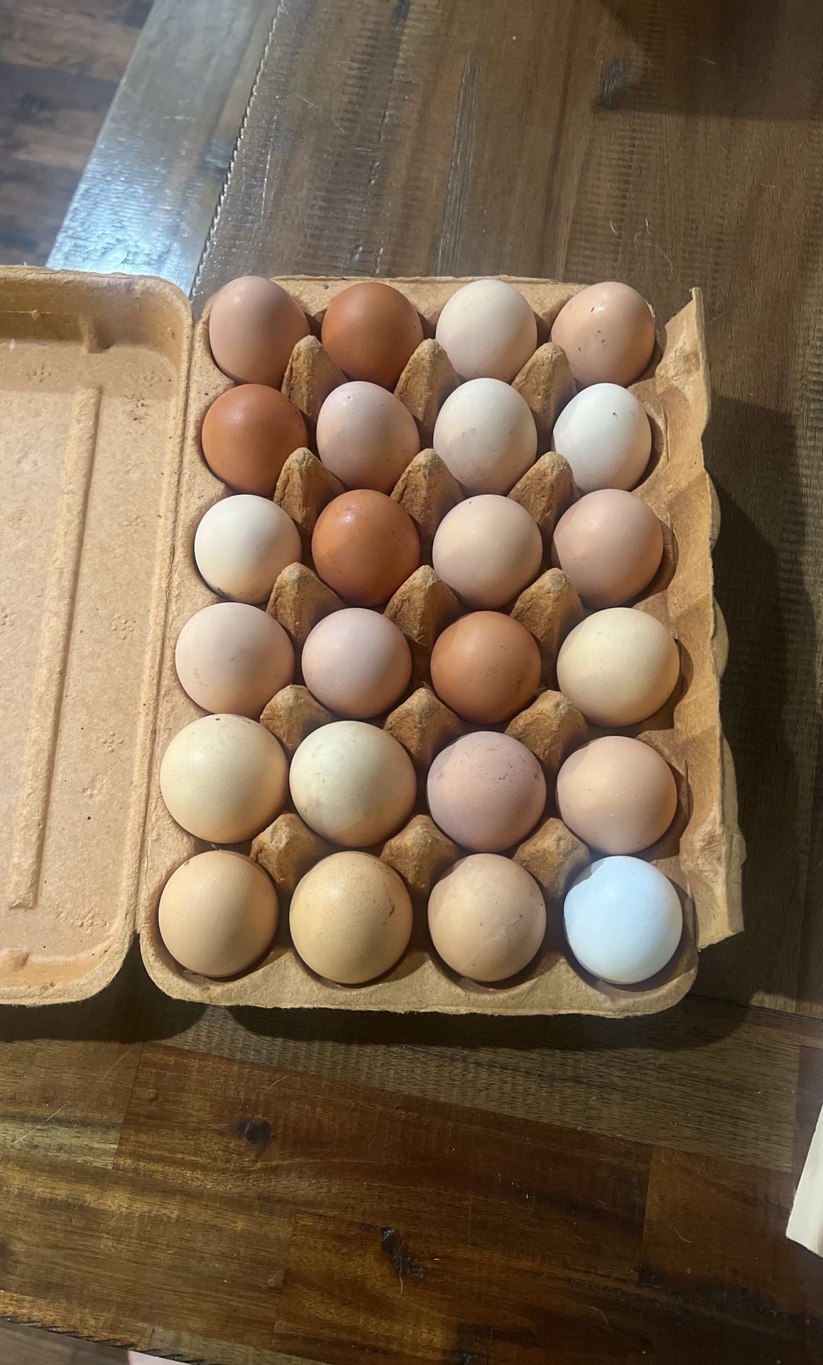 Fresh Eggs