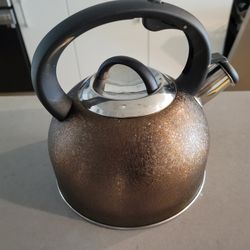 Stainless Steel Water Kettle