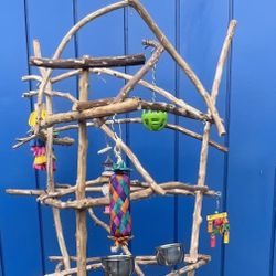 Small Bird Perch Tree… Lots Of Socialization. Great Design … Cage Not Needed After Birdee Masters This !!   