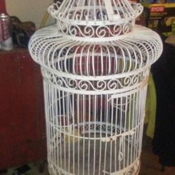 Big Bird Cage 