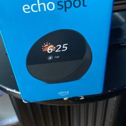 Echo Spot