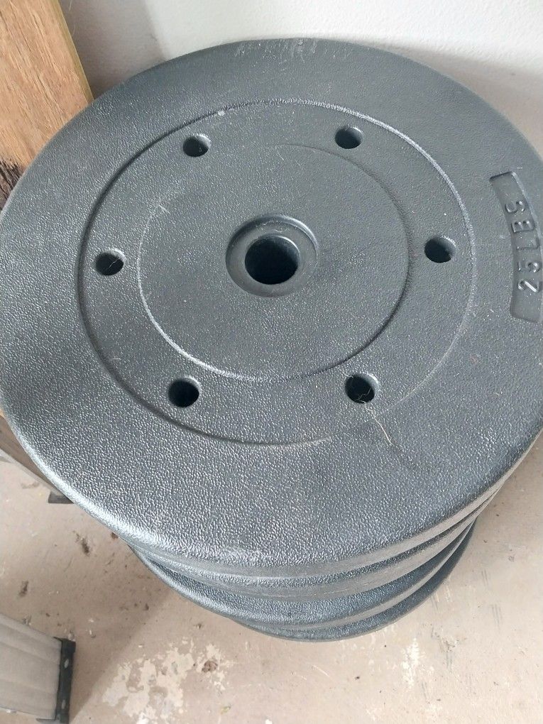 #25 Pound Weights #200lb Total