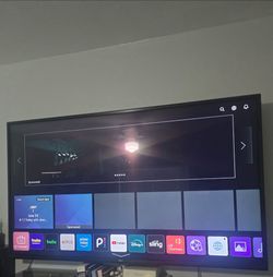55 Inch with Wall Mount Swivel and Tilt
