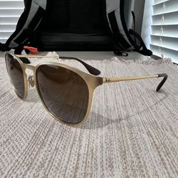 Ray-Ban Polarized Sunglasses (Erika Metal)  