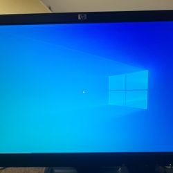 HP LE1901w LCD Monitor with Stand Power Cord VGA