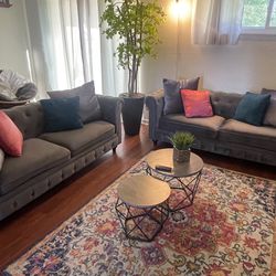 Gray Velvet Couch (set of 2)