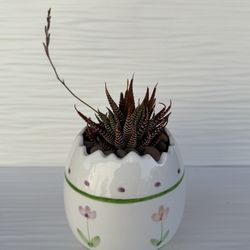 Very Cute Vintage Ceramic Planter 4.5”H Succulent Zebra Haworthia