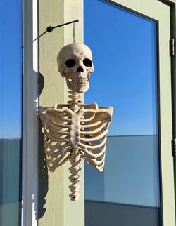 Hanging Skeleton Torso Indoor/Outdoor Halloween Decor LED Red Eyes