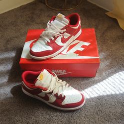 Nike Dunks Low Retro 