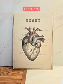 The Way to a Woman's Heart Anatomical Diagram Wall Art