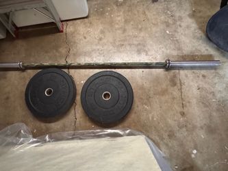 45lb Bar and 2 25lb bumper plates