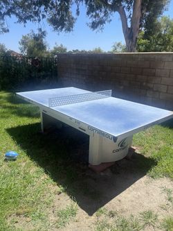 Ping Pong Table