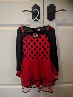 Ladybug costume