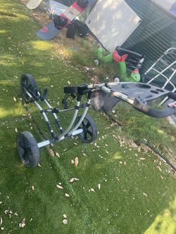 Trekker 3 Wheel Pusher Golf Cart Folds Up