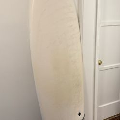 6’6” Fish Foam Surfboard from “Catch Surf”
