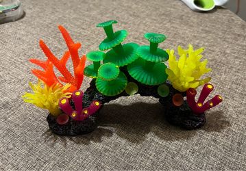 Fish tank Coral Reef