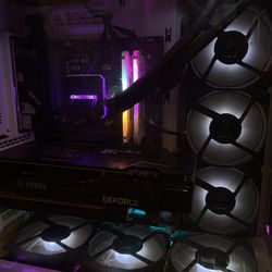 GeForce RTX 3080 Ventus 3X Plus 10G OC LHR | 64 GB Corsair Vengeance RAM | Phantom Gaming X570 Riptide MOBO | 1TB Storage