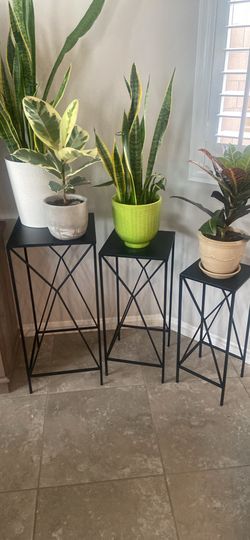 Nesting Plant Stands