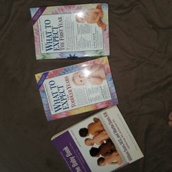 Baby And Toddler Parenting  Guide  Books