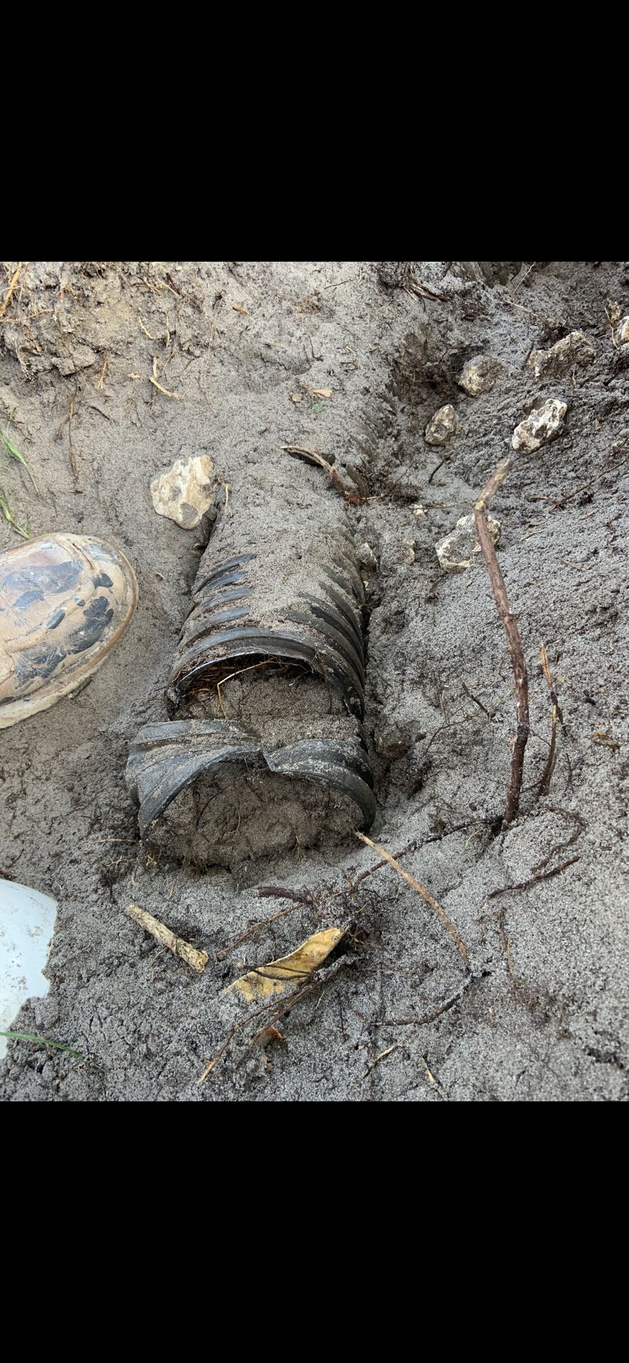 Drenaje Tanque Séptico