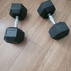 Two 45 lbs Dumbbells 