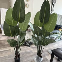 Pretty Artificial Plant 5 Ft Tall Set Of 2! Brand New