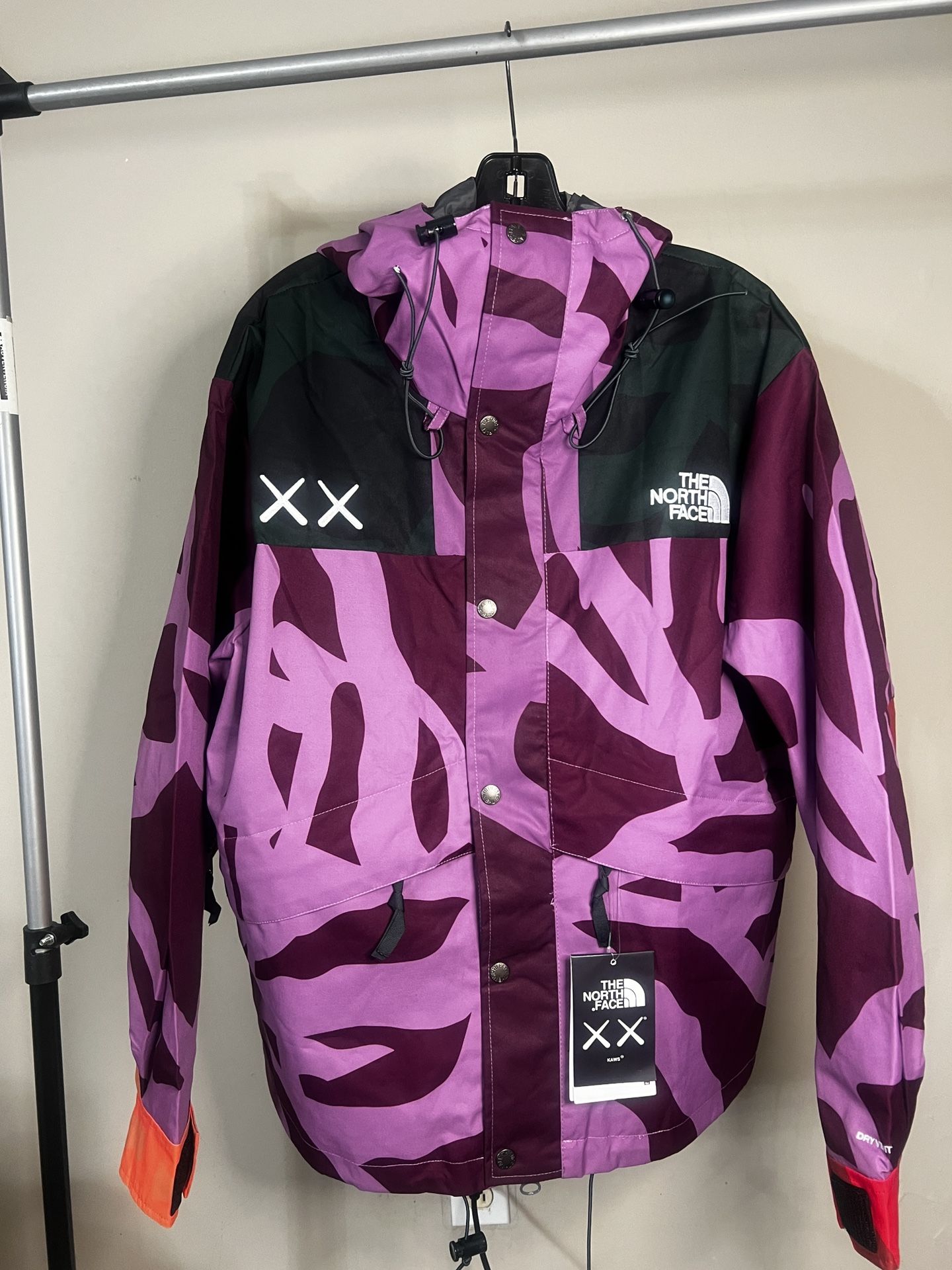 The North face KAWS Jacket Hoodie 