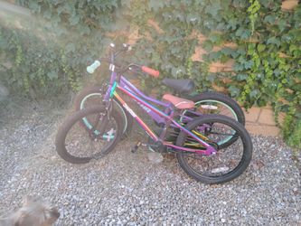 Bikes $50 for both I take cash credit debit payments in Great conditions