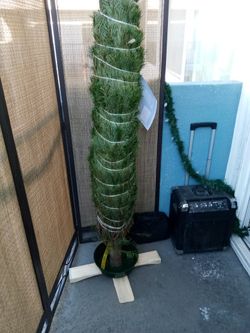 New Christmas Trees