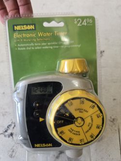 Electronic water timer