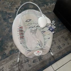 Baby Bouncer Chair