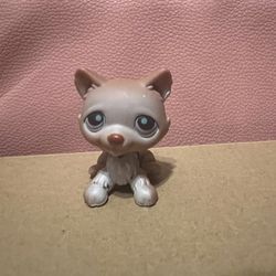 Husky Littlest Pet Shop