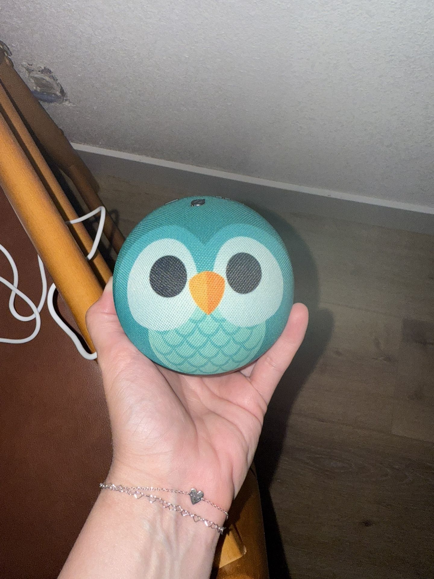 Alexa Owl