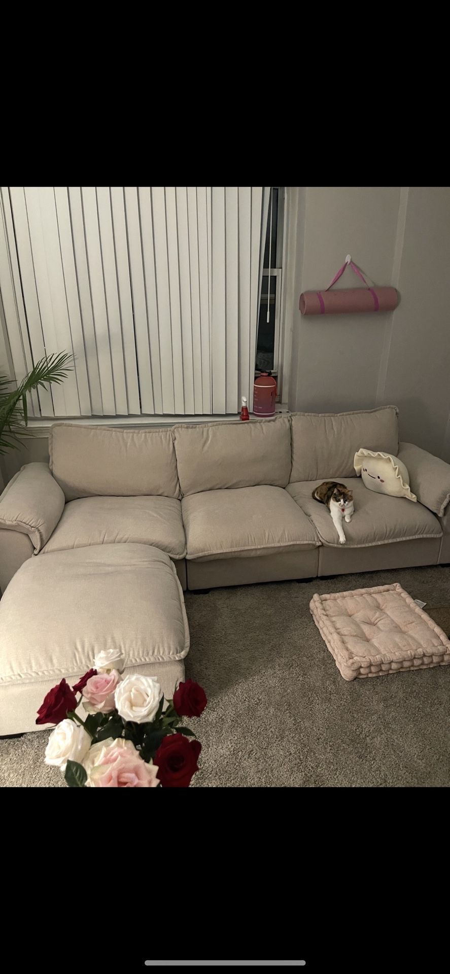 Modular Cloud Couch W/ Ottoman