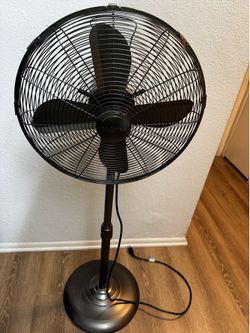Holmes fan
