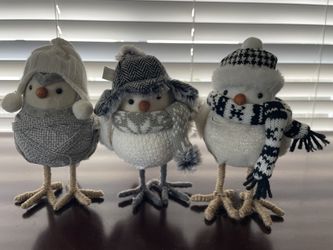 Winter Birds Decor