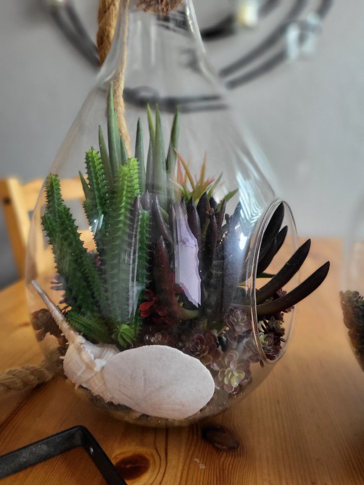 Decorative Hanging Succulent Plant In Teardrop Glass 