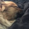 Maggie